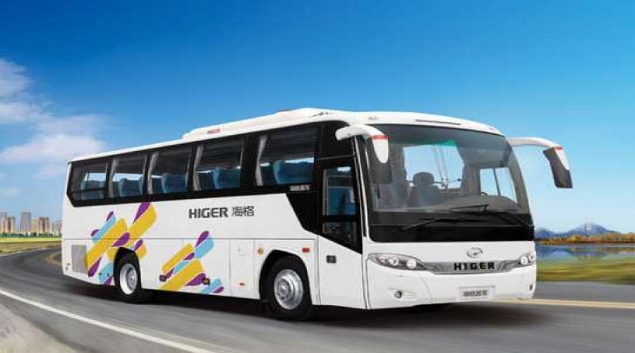 Bus management solution